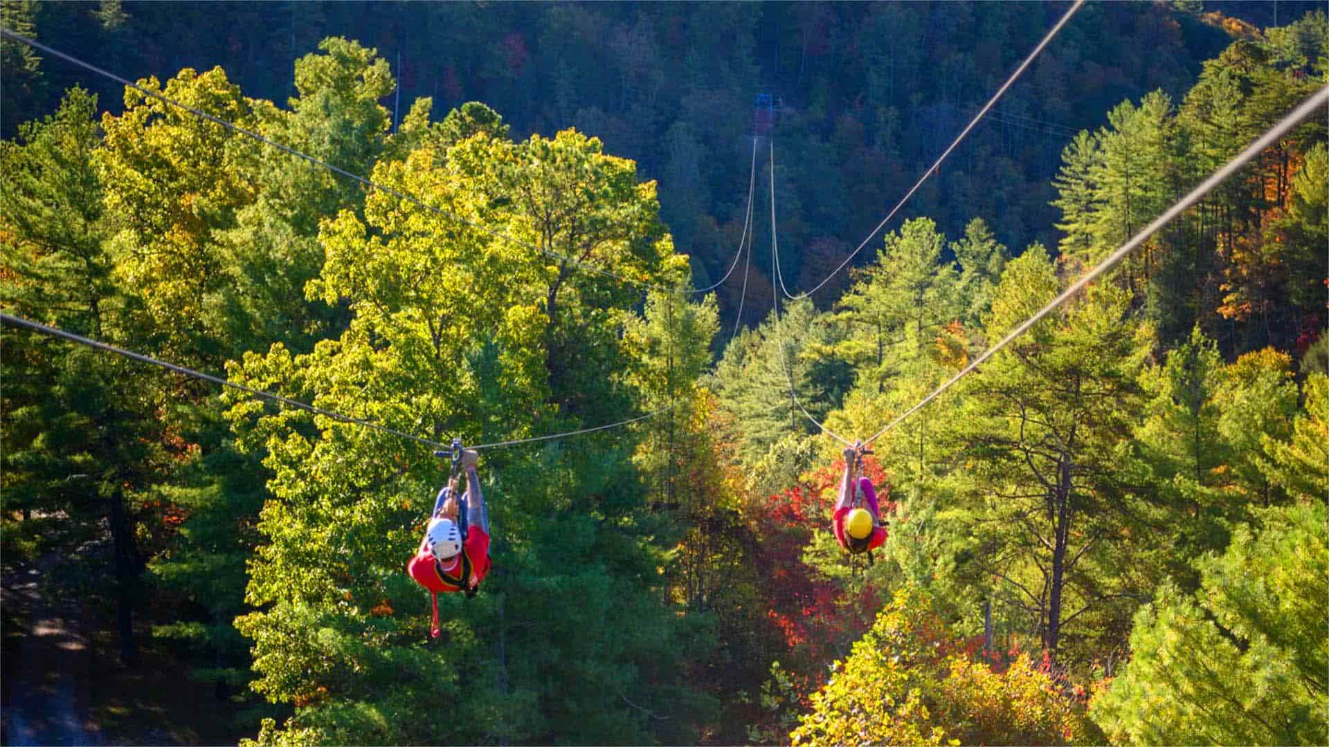 Secrets-Of-Kentucky8217s-Red-River-Gorge-Zipline-Courses secrets-of-kentuckys-red-river-gorge-zipline-courses