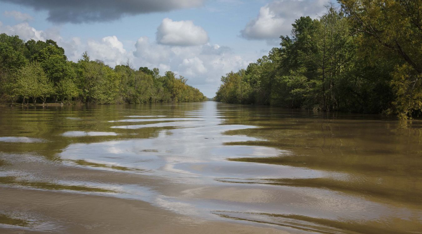Secrets-Of-Louisiana8217s-Atchafalaya-Basin-River-Bottoms secrets-of-louisianas-atchafalaya-basin-river-bottoms