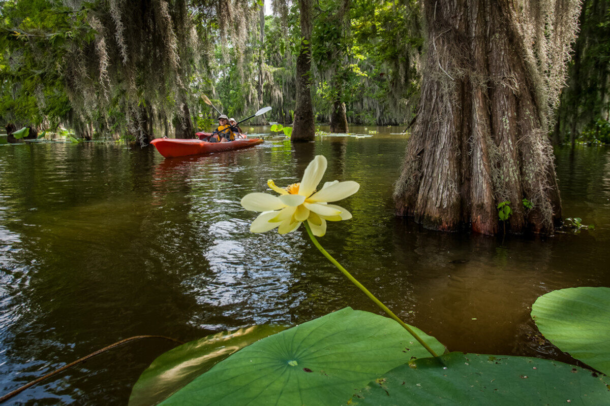 secrets-of-louisianas-cajun-bayou-paddling-trails