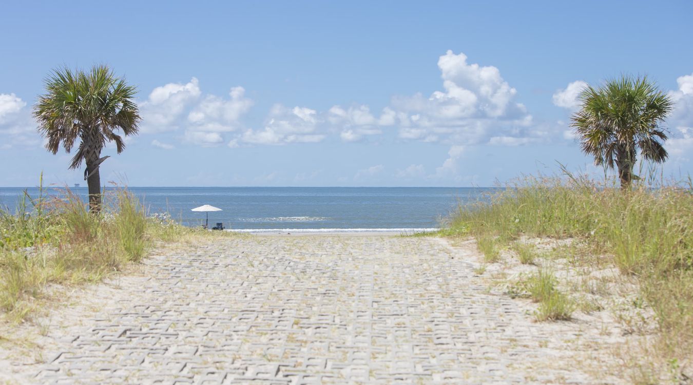 secrets-of-louisianas-grand-isle-state-park-ecosystems