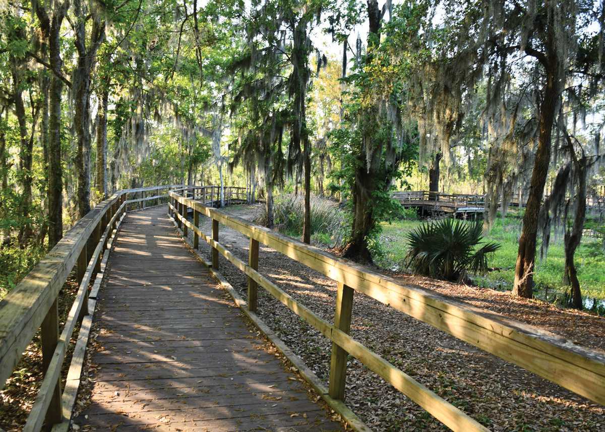 secrets-of-louisianas-lafitte-fishing-villages