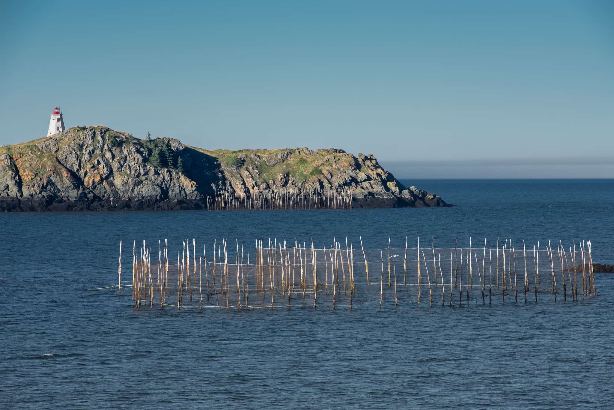 secrets-of-maines-ancient-fishery-weir