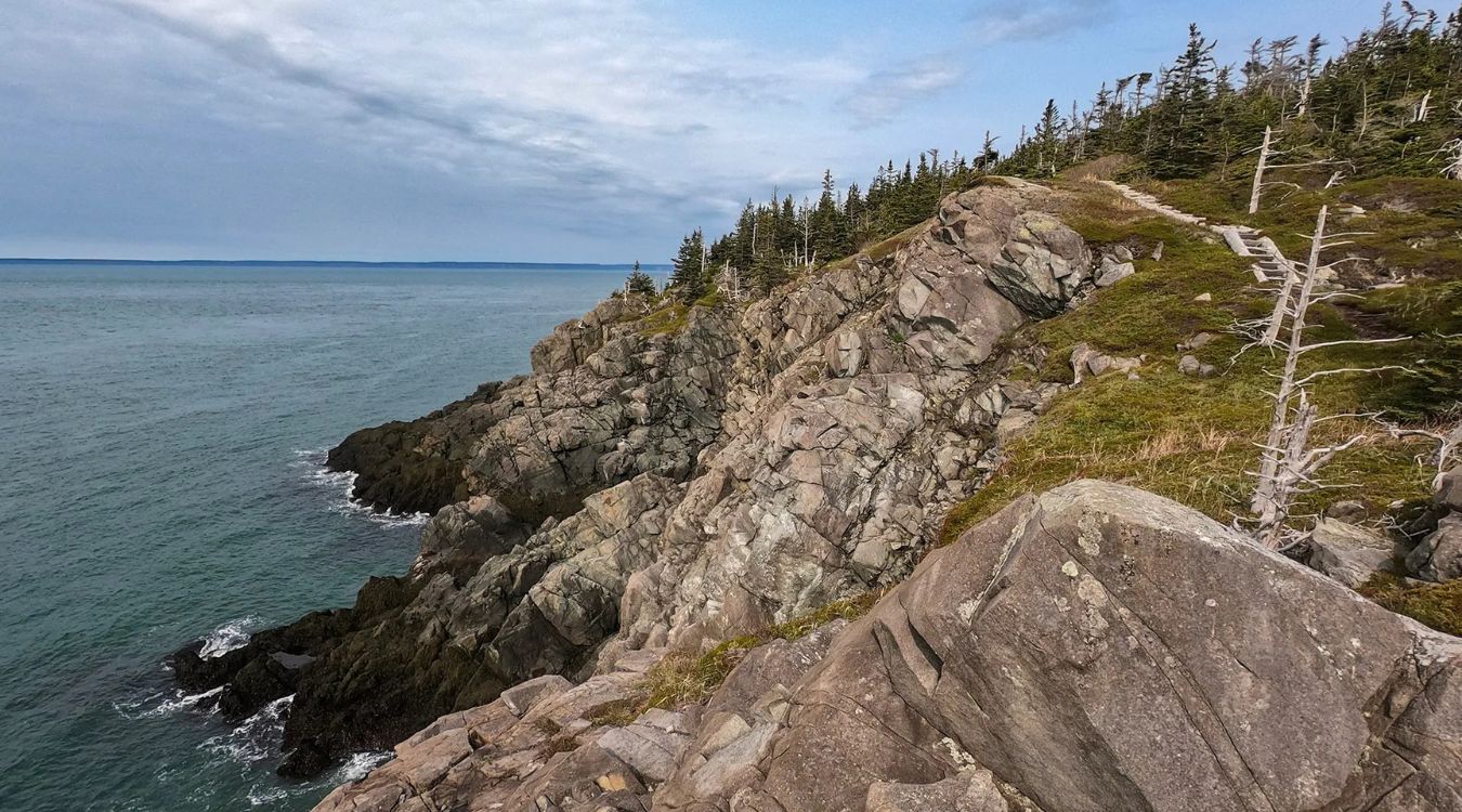 Secrets-Of-Maine8217s-Bold-Coast-Barrens secrets-of-maines-bold-coast-barrens