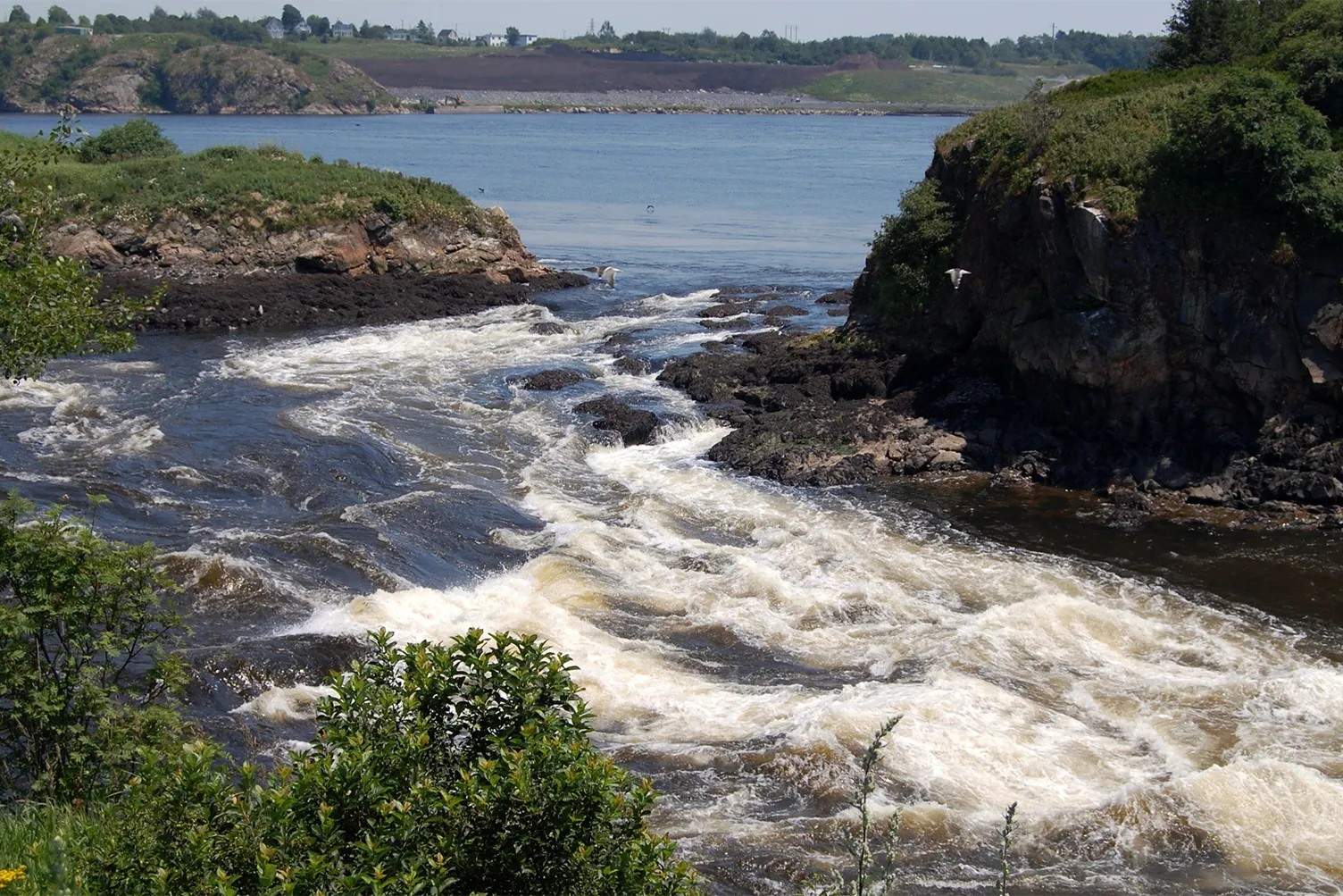 secrets-of-maines-saint-john-river-logging-camps