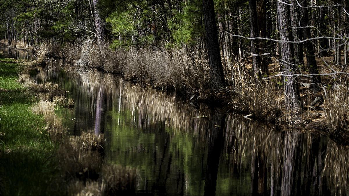 secrets-of-marylands-blackwater-refuge-estuaries