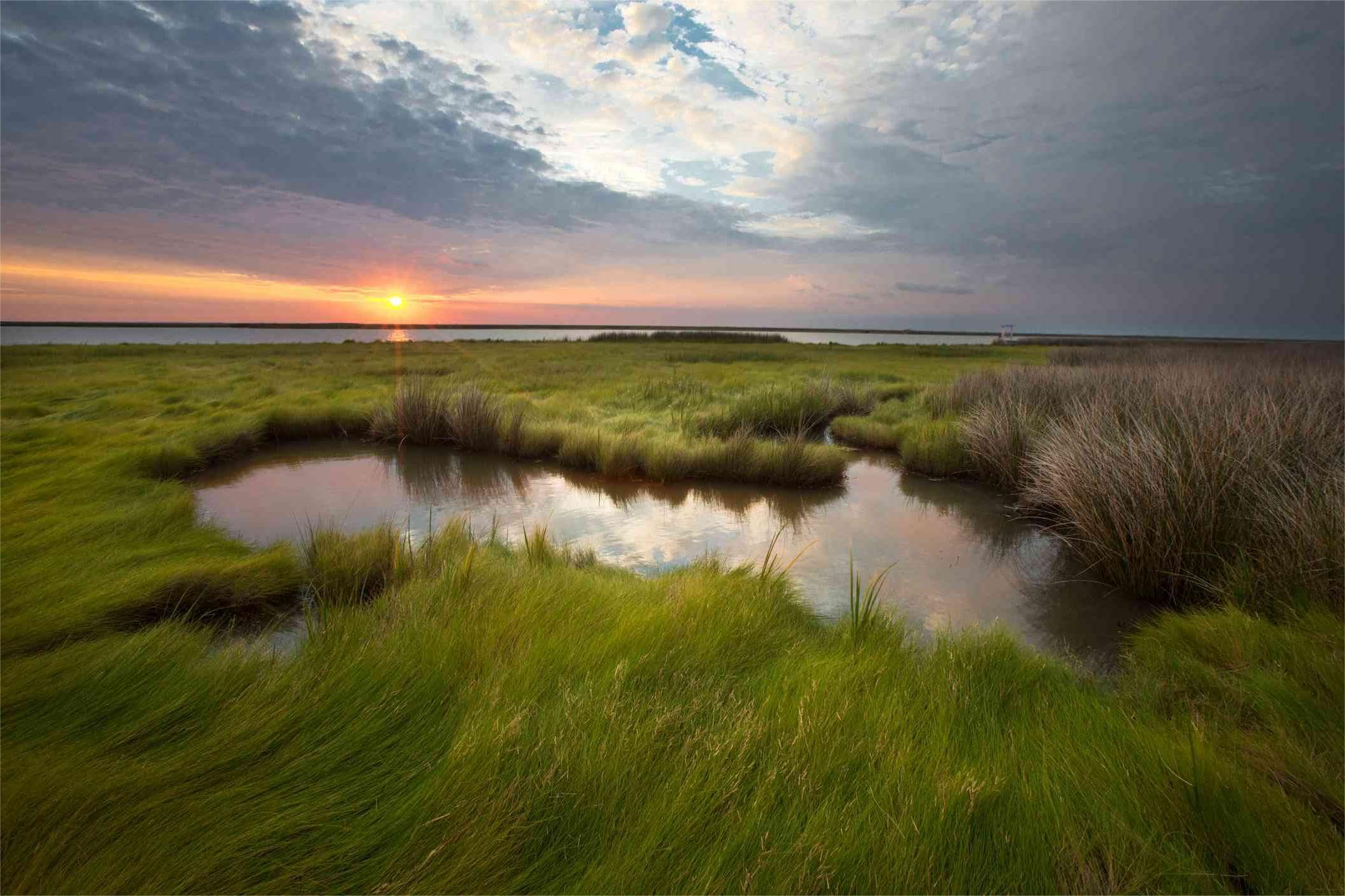 Secrets-Of-Maryland8217s-Eastern-Shore-Tidal-Basins secrets-of-marylands-eastern-shore-tidal-basins