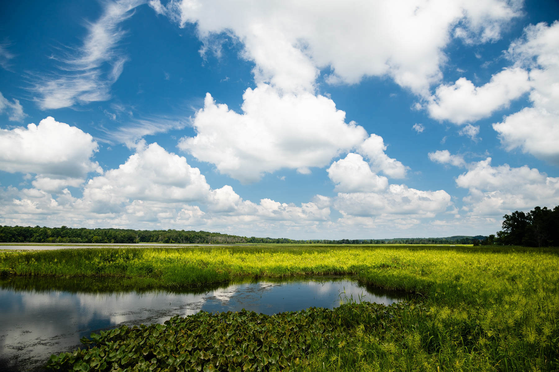 Secrets-Of-Maryland8217s-Shimmering-Tidal-Marshes secrets-of-marylands-shimmering-tidal-marshes