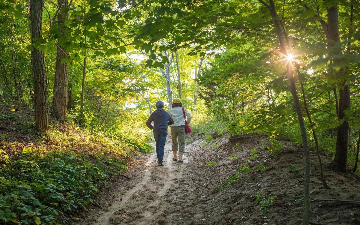 Secrets-Of-Michigan8217s-Amber-Lit-Forests secrets-of-michigans-amber-lit-forests