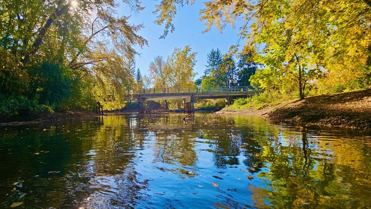 secrets-of-michigans-grass-river-red-cedar-groves