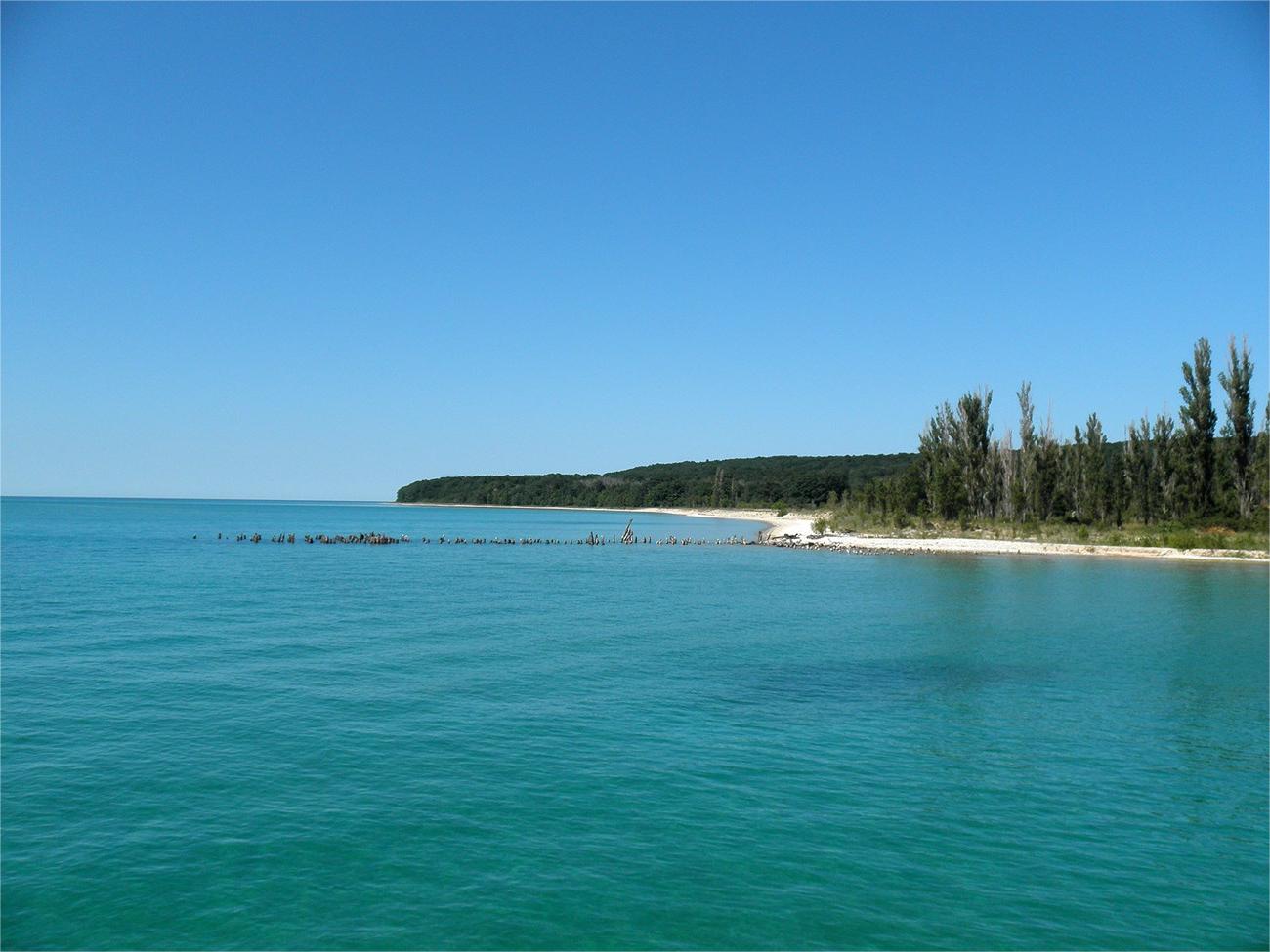 Secrets-Of-Michigan8217s-North-Manitou-Island-Cedar-Forests secrets-of-michigans-north-manitou-island-cedar-forests