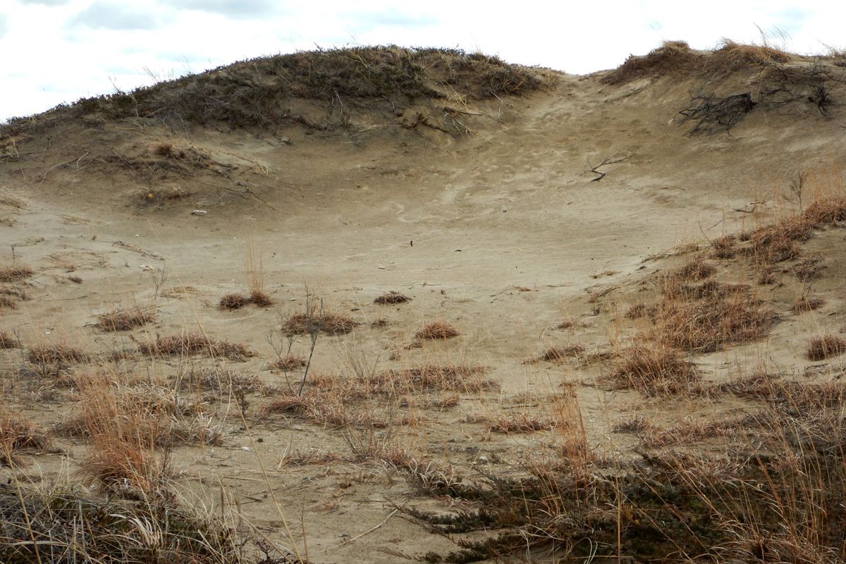 Secrets-Of-Michigan8217s-Towering-Coastal-Dune-Blowouts secrets-of-michigans-towering-coastal-dune-blowouts