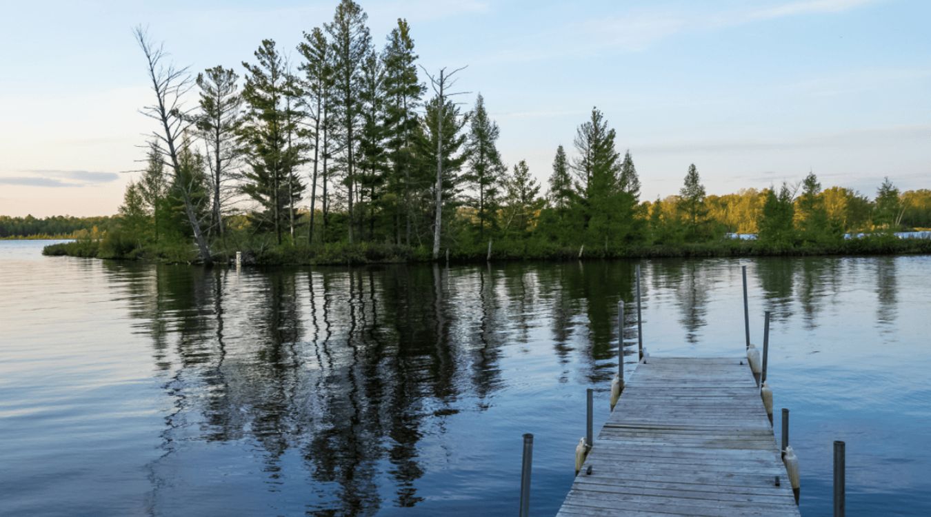 Secrets-Of-Minnesota8217s-Floating-Peat-Bog-Islands secrets-of-minnesotas-floating-peat-bog-islands