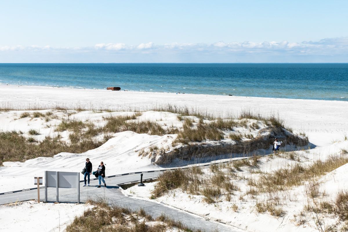 secrets-of-mississippis-ship-island-ecosystems