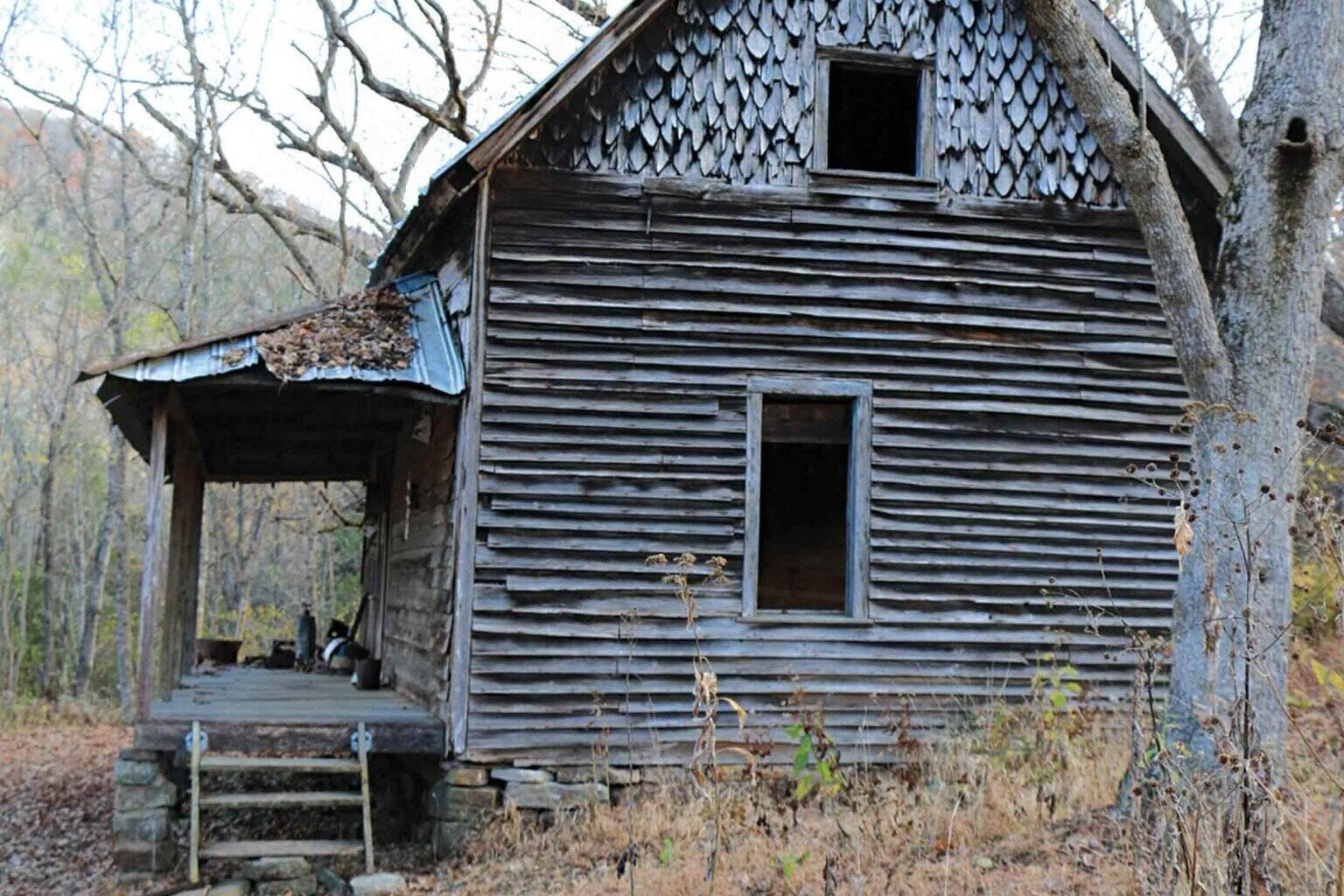 Secrets-Of-Missouri8217s-Ozark-Forest-Hollows secrets-of-missouris-ozark-forest-hollows