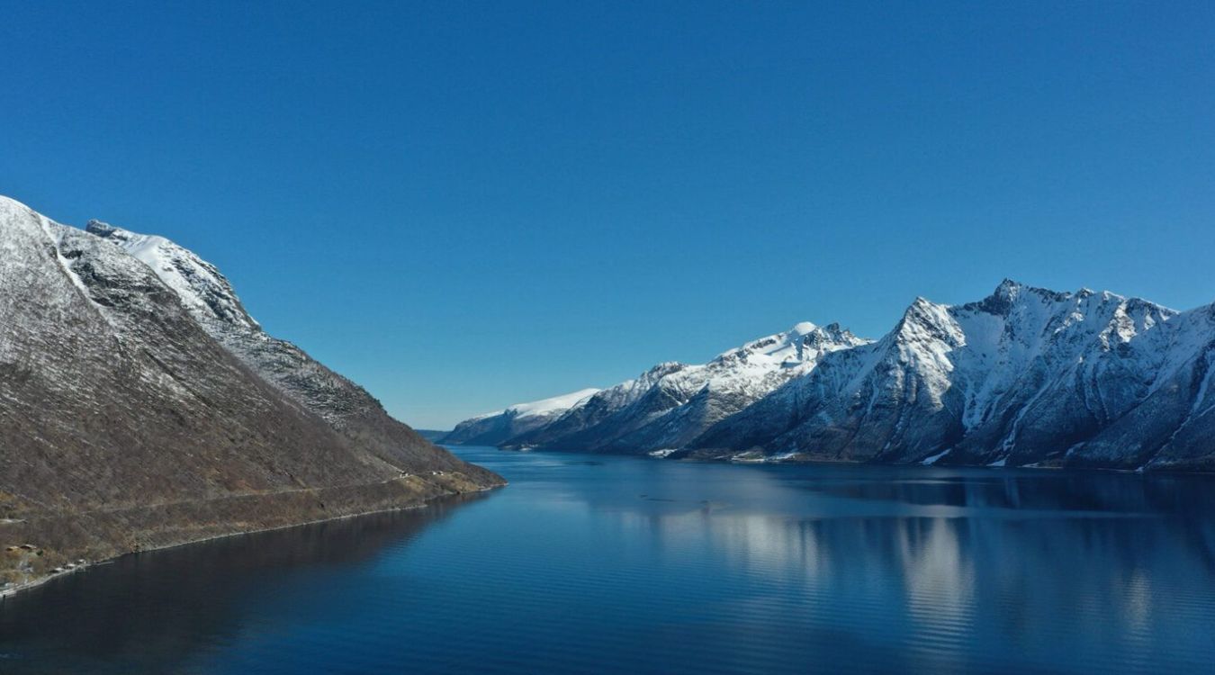secrets-of-montanas-frost-tipped-mountain-meadows