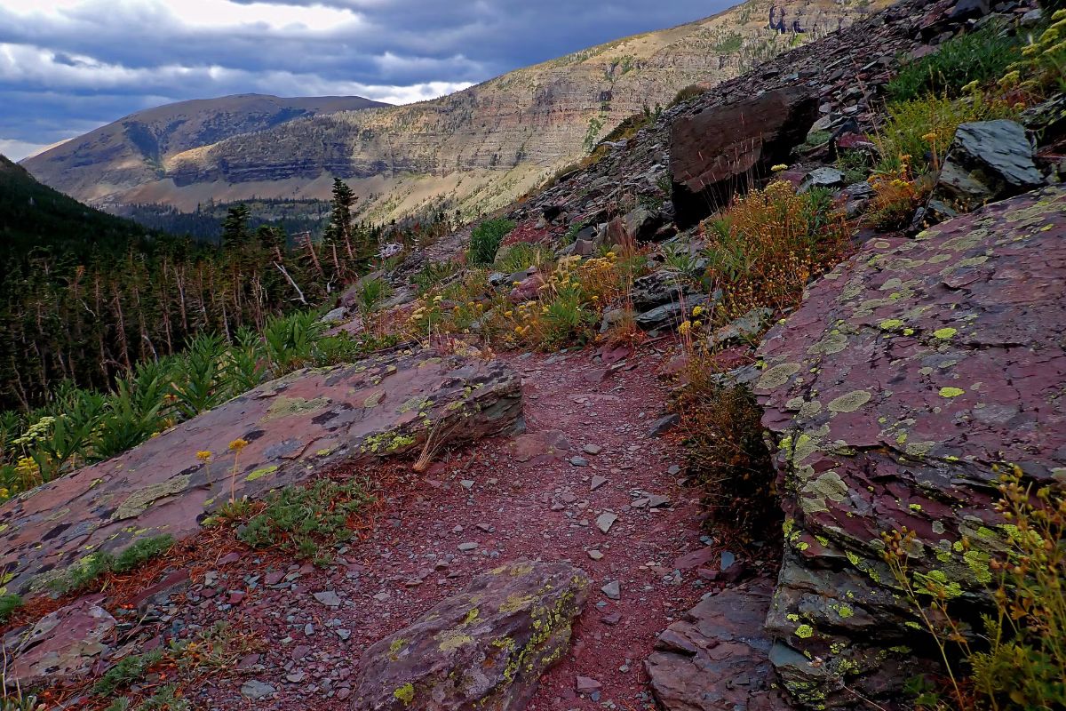secrets-of-montanas-glacier-national-park-goat-paths