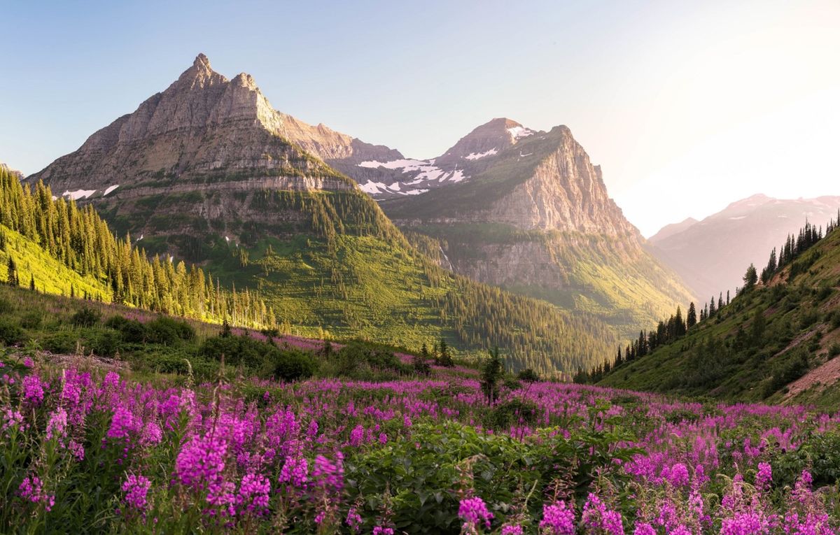 secrets-of-montanas-glacier-national-park-meadows