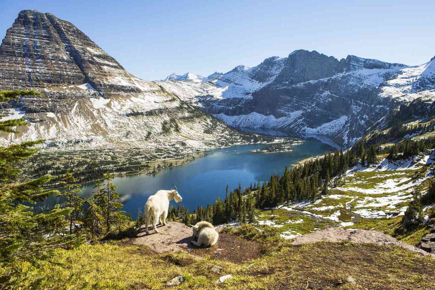secrets-of-montanas-glacier-national-park-tundra-ecosystems
