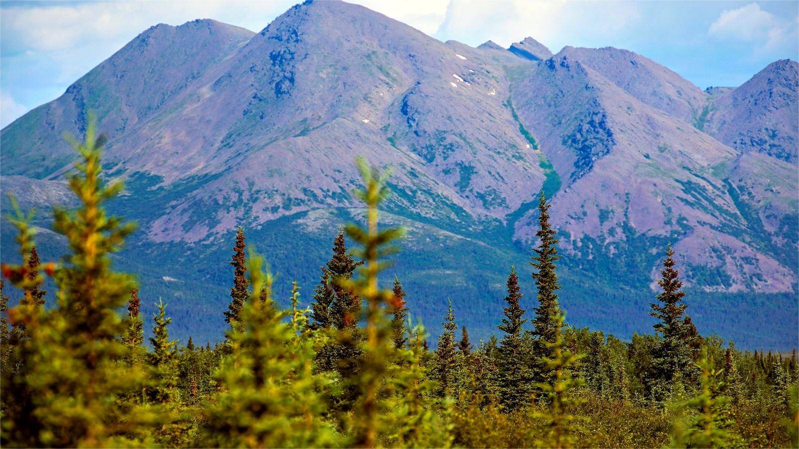 Secrets-Of-Montana8217s-Jade-Colored-Mountain-Valleys secrets-of-montanas-jade-colored-mountain-valleys