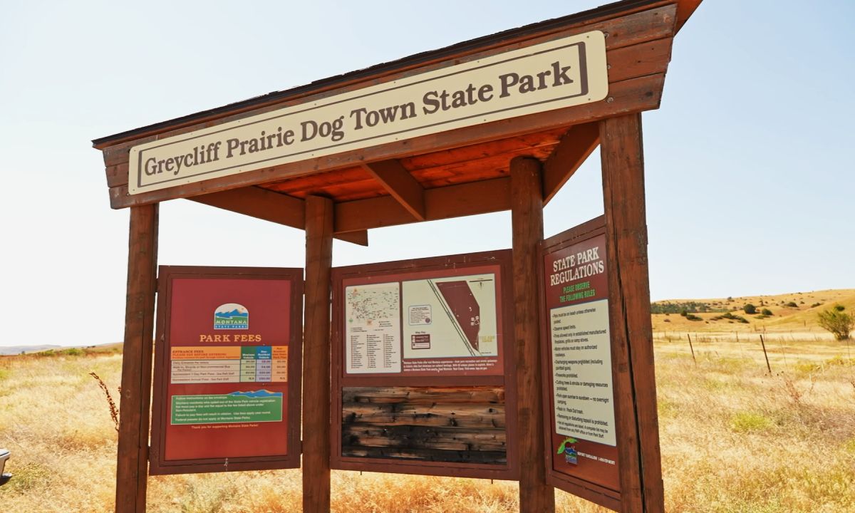 secrets-of-montanas-prairie-dog-colonies