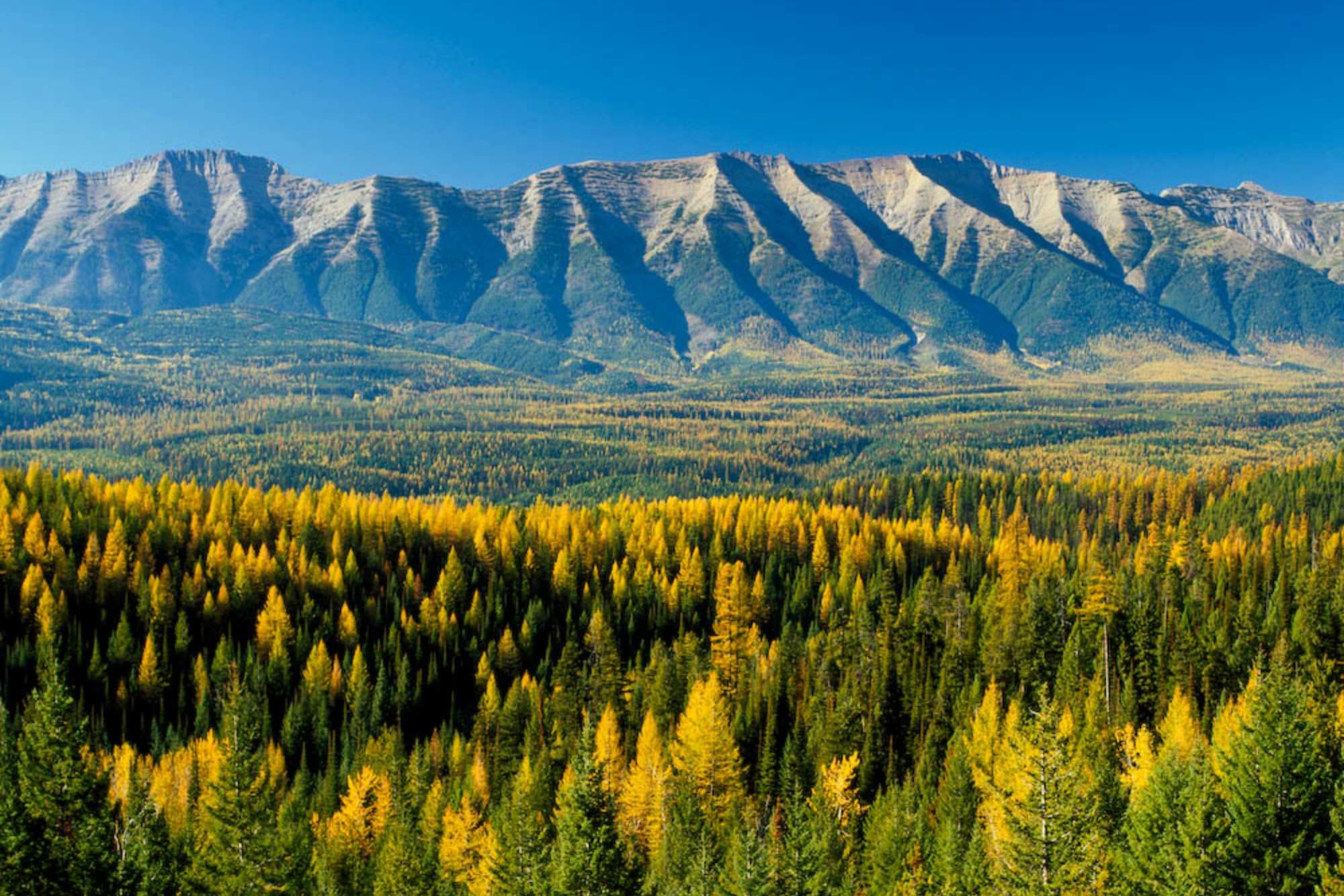 secrets-of-montanas-swan-range-lakes