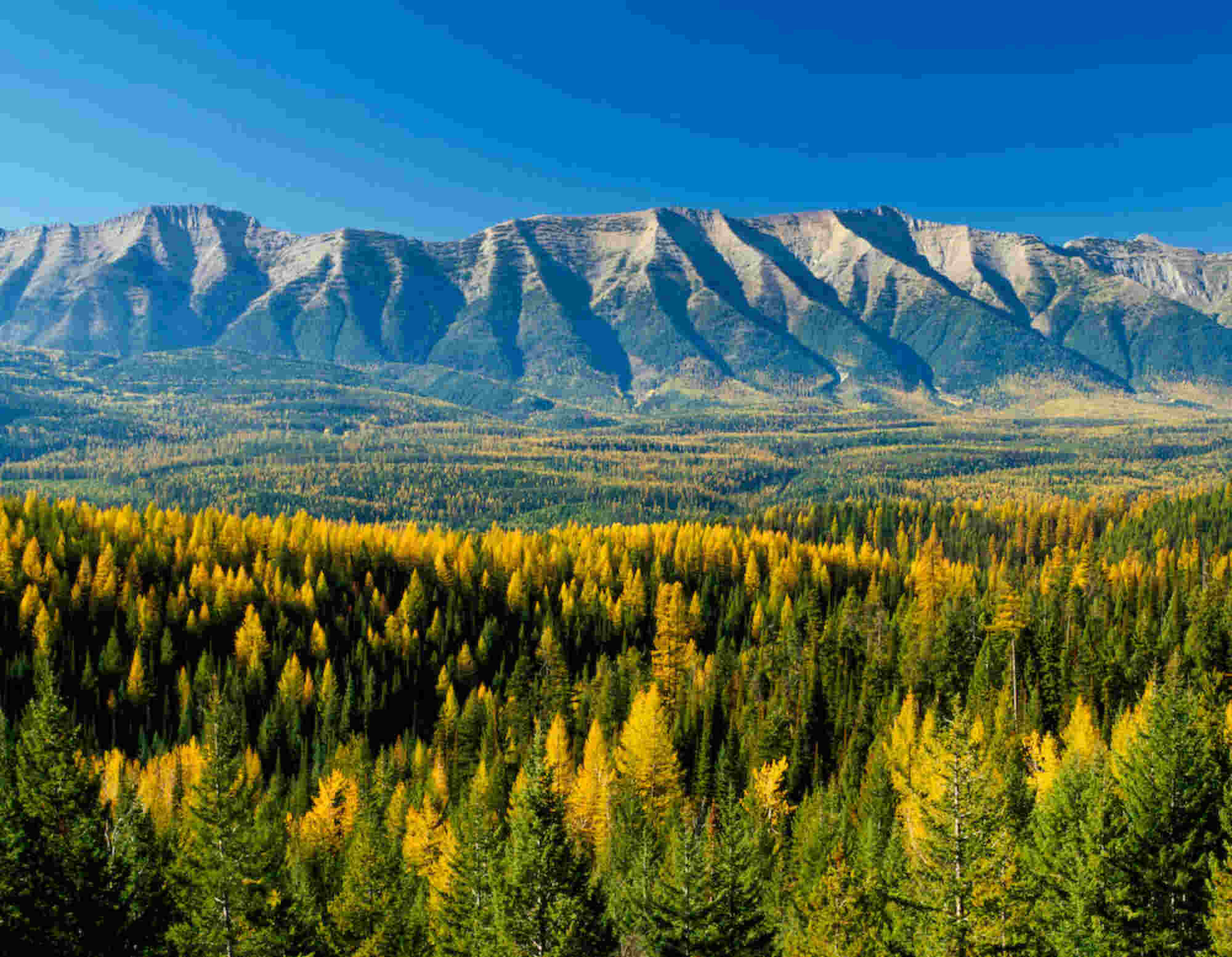 secrets-of-montanas-swan-range-passes