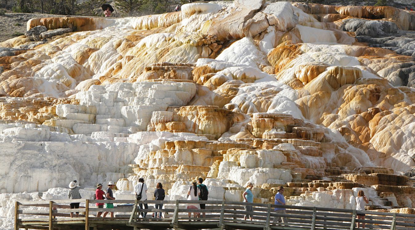 secrets-of-montanas-yellowstone-hot-spring-terraces