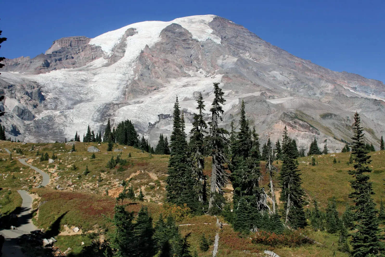 secrets-of-mount-rainiers-alpine-meadows