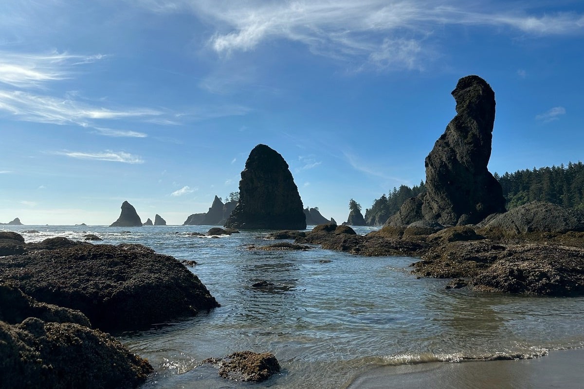 secrets-of-neah-bays-indigenous-fishing-villages