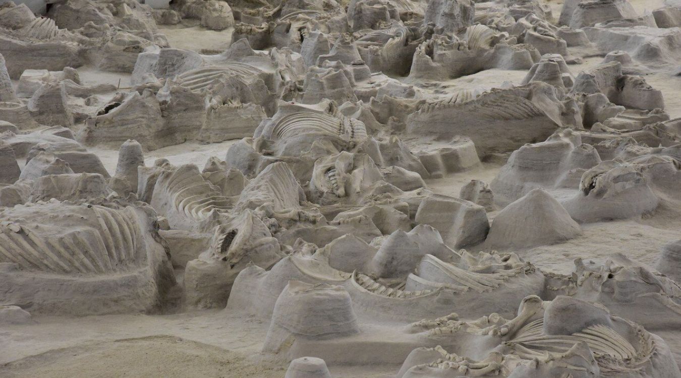 Secrets-Of-Nebraska8217s-Ashfall-Fossil-Beds secrets-of-nebraskas-ashfall-fossil-beds