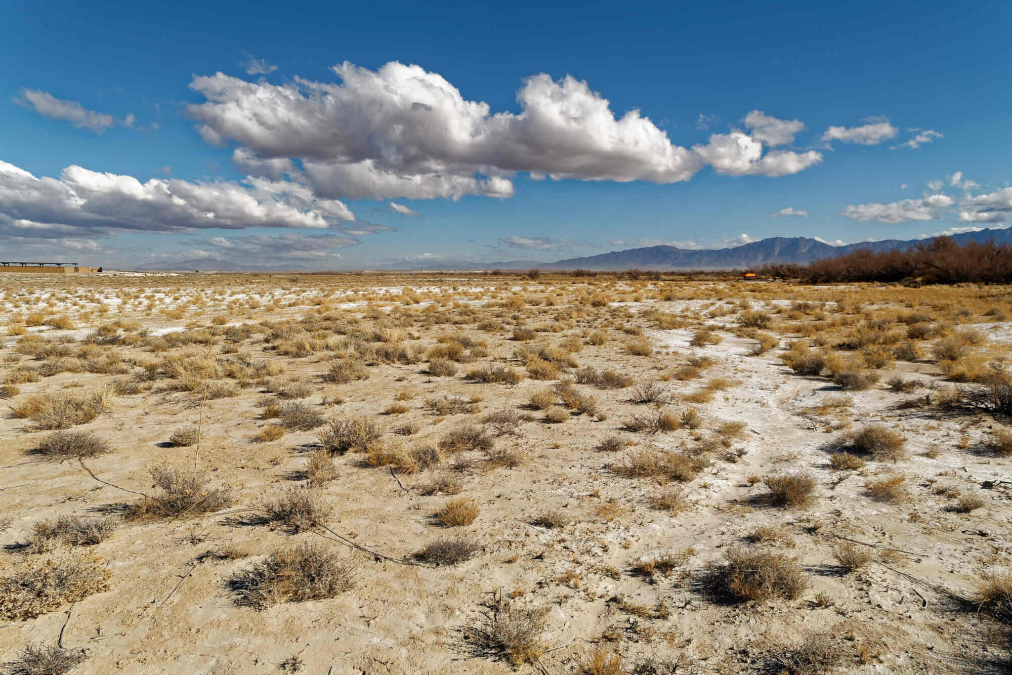 Secrets-Of-Nevada8217s-Ash-Meadows-Hunting-Blinds secrets-of-nevadas-ash-meadows-hunting-blinds