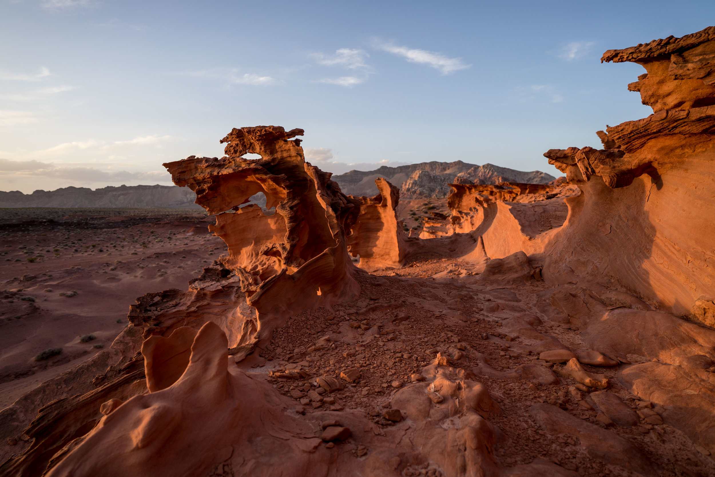 secrets-of-nevadas-gold-butte-rock-art-panels