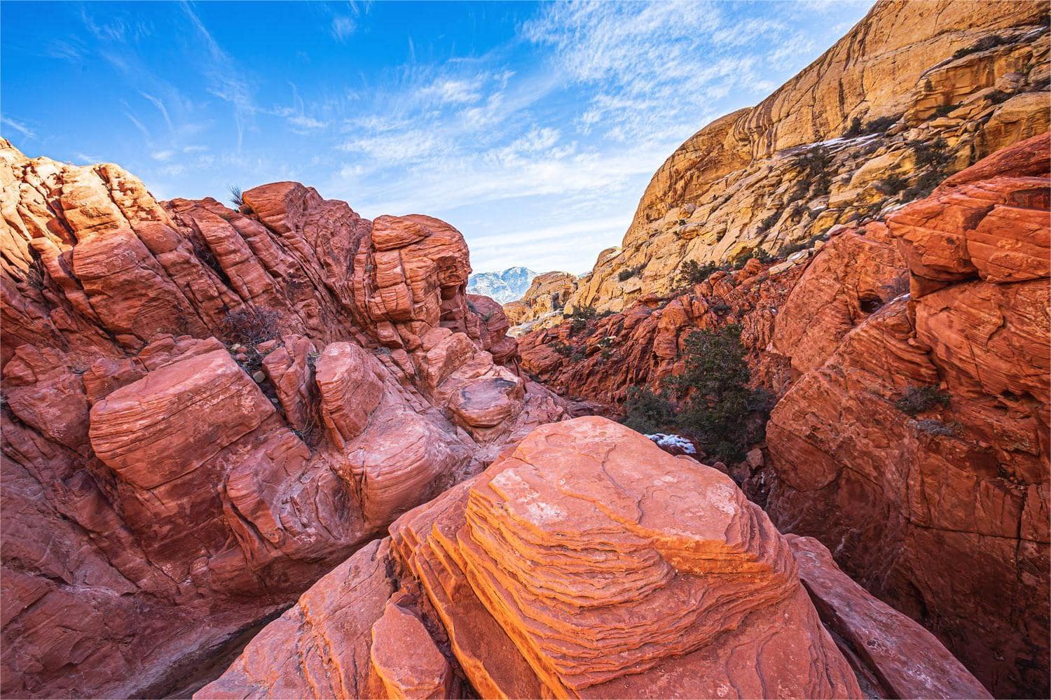 Secrets-Of-Nevada8217s-Red-Rock-Canyon-Echoes secrets-of-nevadas-red-rock-canyon-echoes