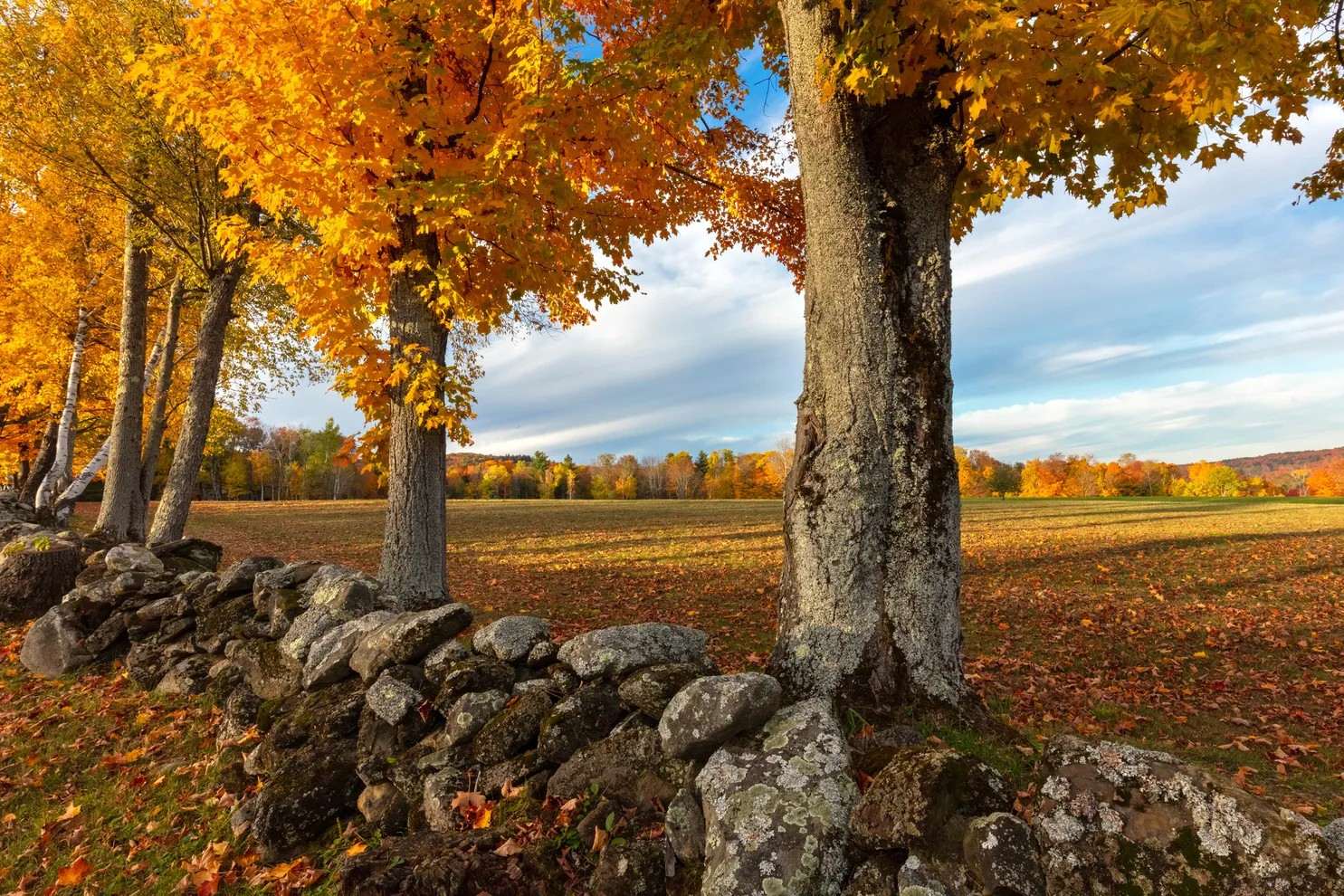 Secrets-Of-New-Hampshire8217s-Stone-Alignment-Fields secrets-of-new-hampshires-stone-alignment-fields