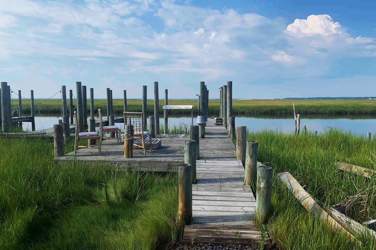 secrets-of-new-jerseys-brigantine-wetlands