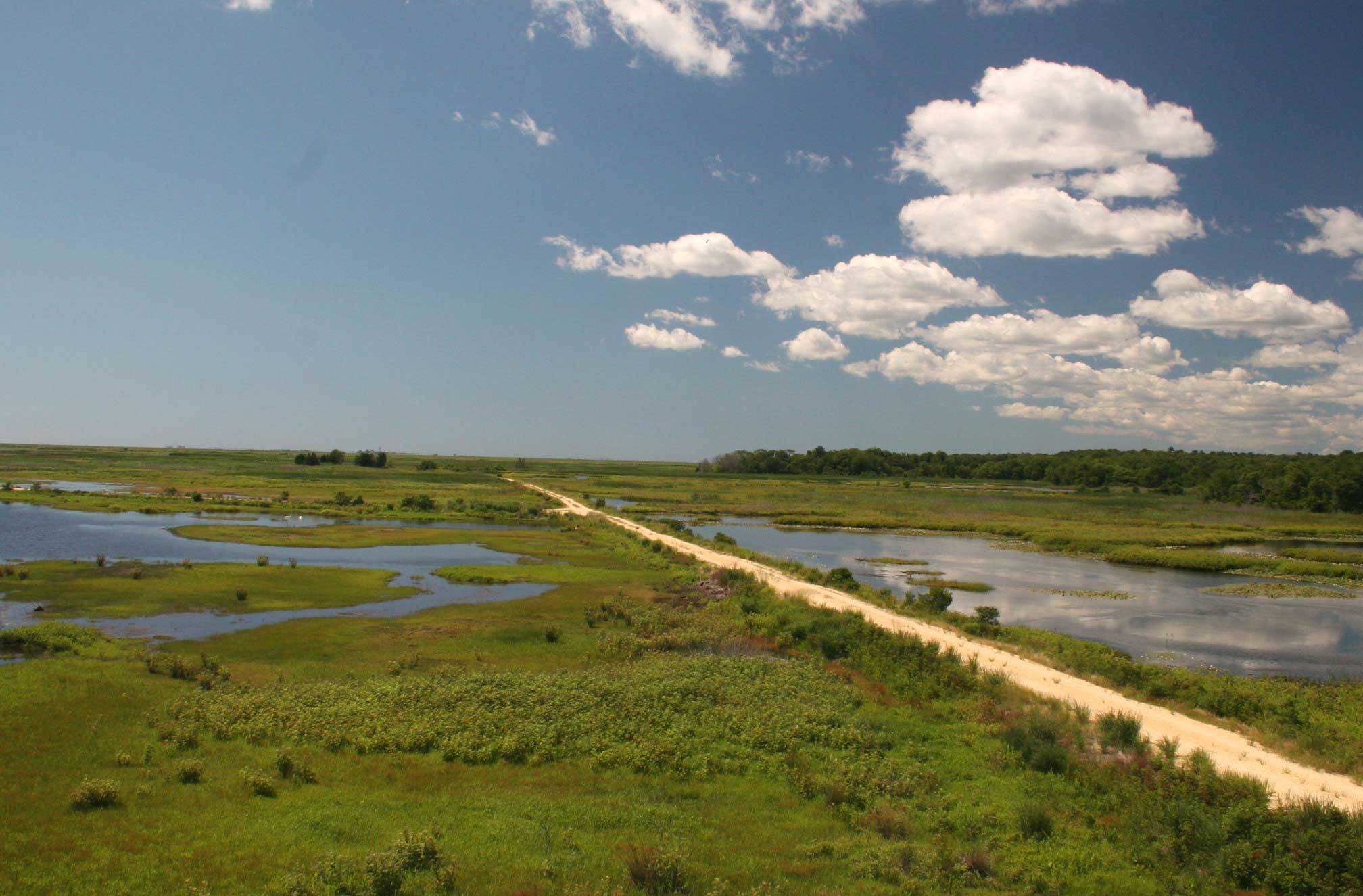secrets-of-new-jerseys-holgate-wildlife-refuge
