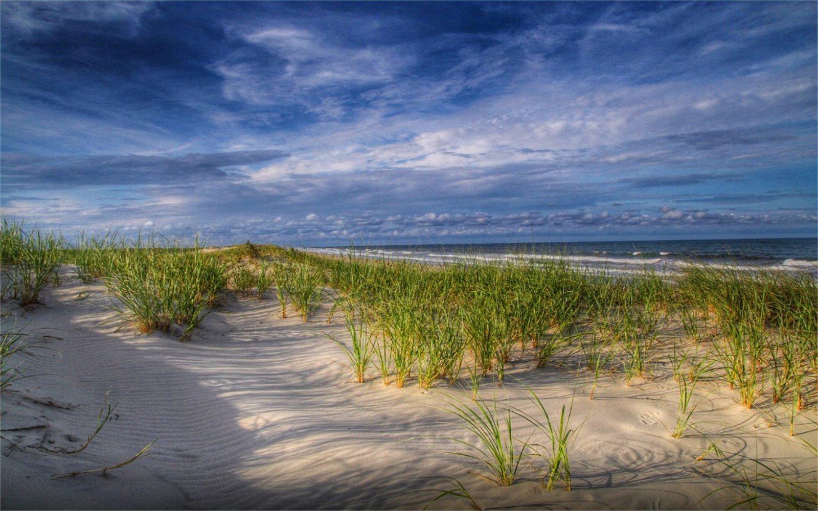 Secrets-Of-New-Jersey8217s-Island-Beach-State-Park-Ecosystems secrets-of-new-jerseys-island-beach-state-park-ecosystems