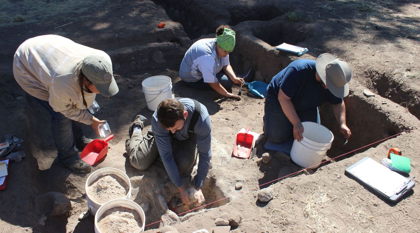 secrets-of-new-mexicos-gila-medicine-gathering-sites