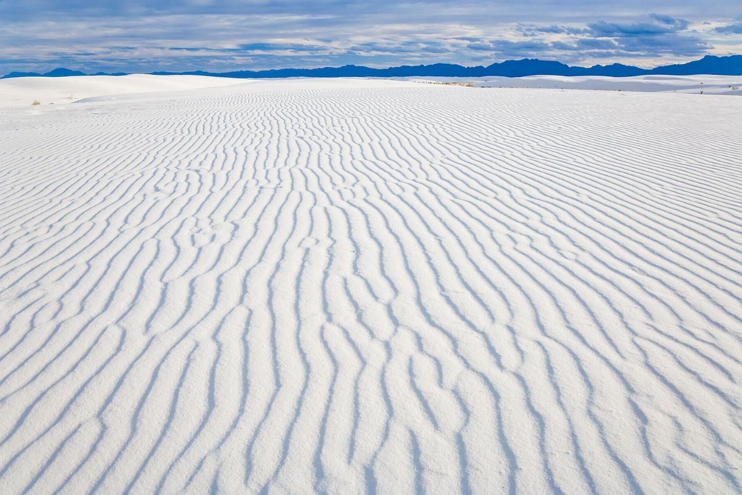 secrets-of-new-mexicos-gypsum-sand-dunes