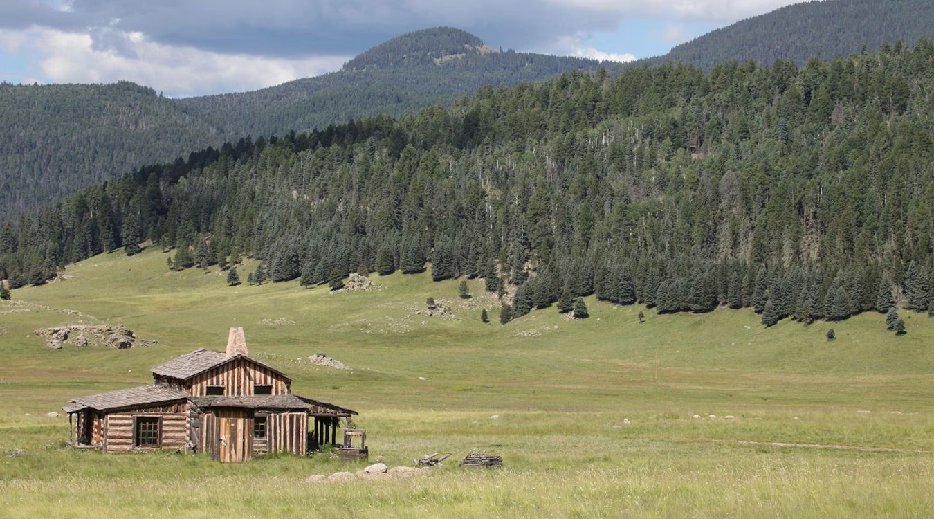 secrets-of-new-mexicos-prairie-valles-caldera-dog-towns