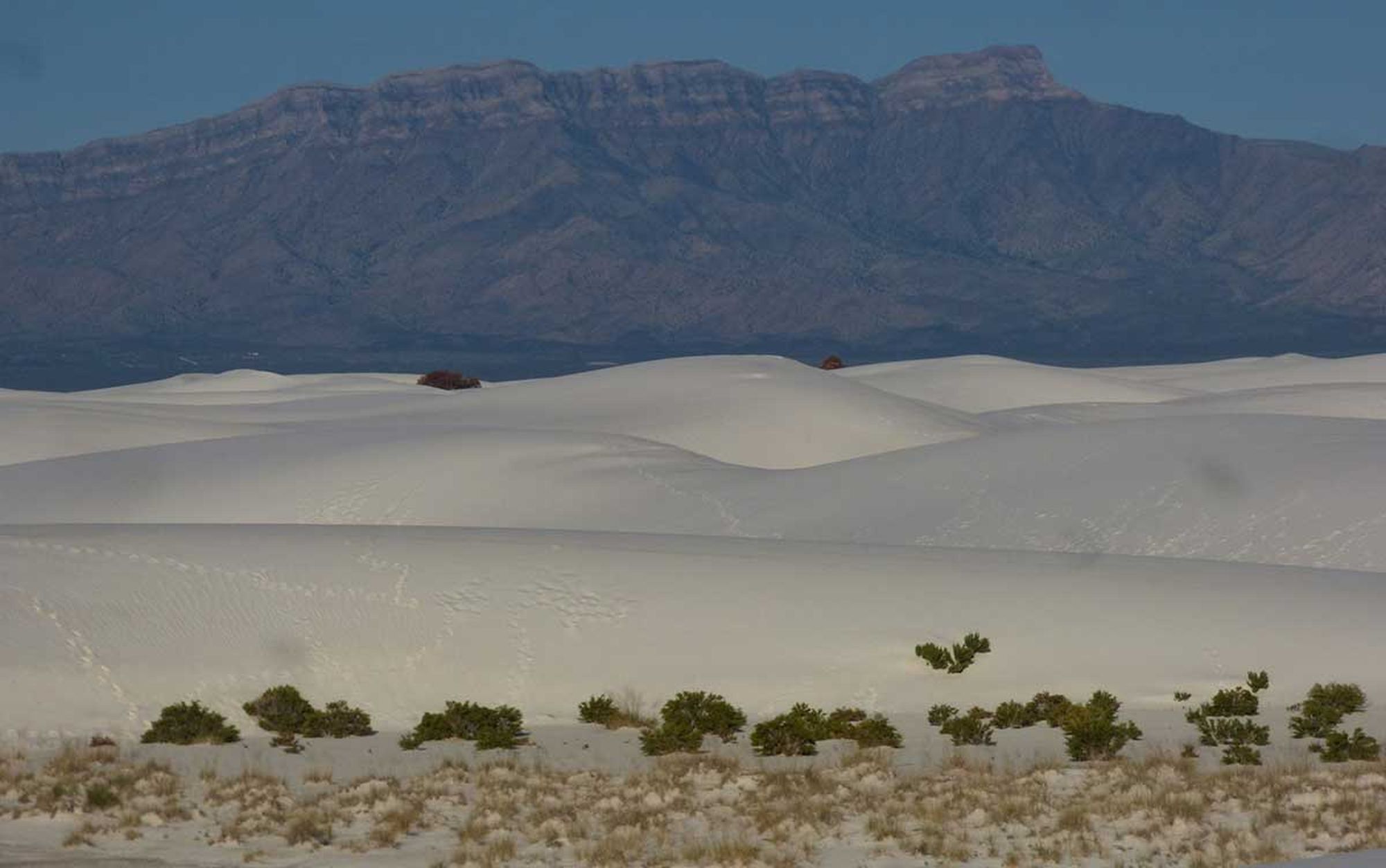 Secrets-Of-New-Mexico8217s-Shimmering-Salt-Basin-Playas secrets-of-new-mexicos-shimmering-salt-basin-playas