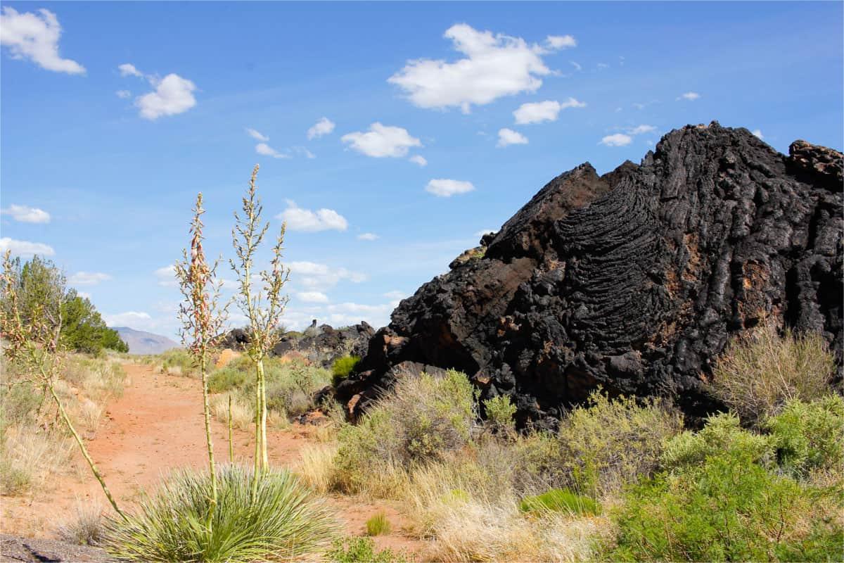 secrets-of-new-mexicos-valley-of-fires-lava-fields
