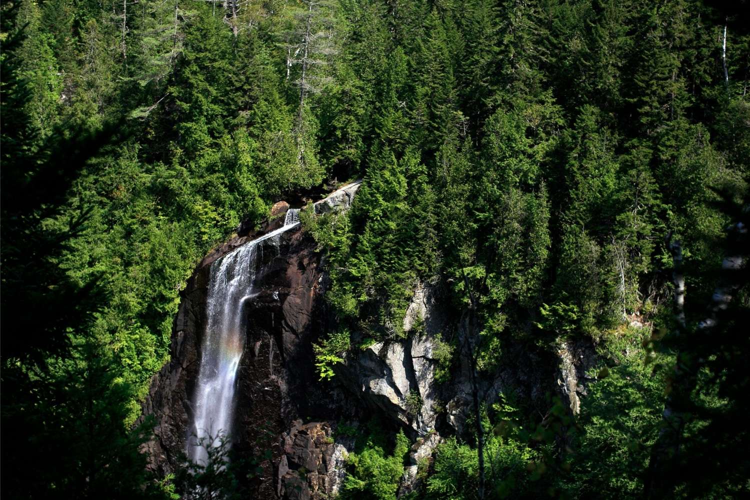 secrets-of-new-yorks-adirondack-forest-gorges