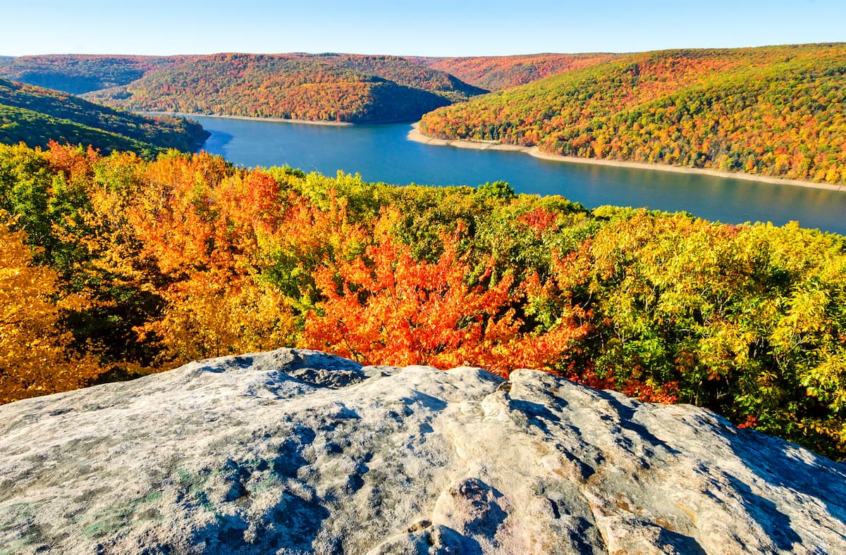 Secrets-Of-New-York8217s-Allegheny-Plateau-Forest-Glades secrets-of-new-yorks-allegheny-plateau-forest-glades