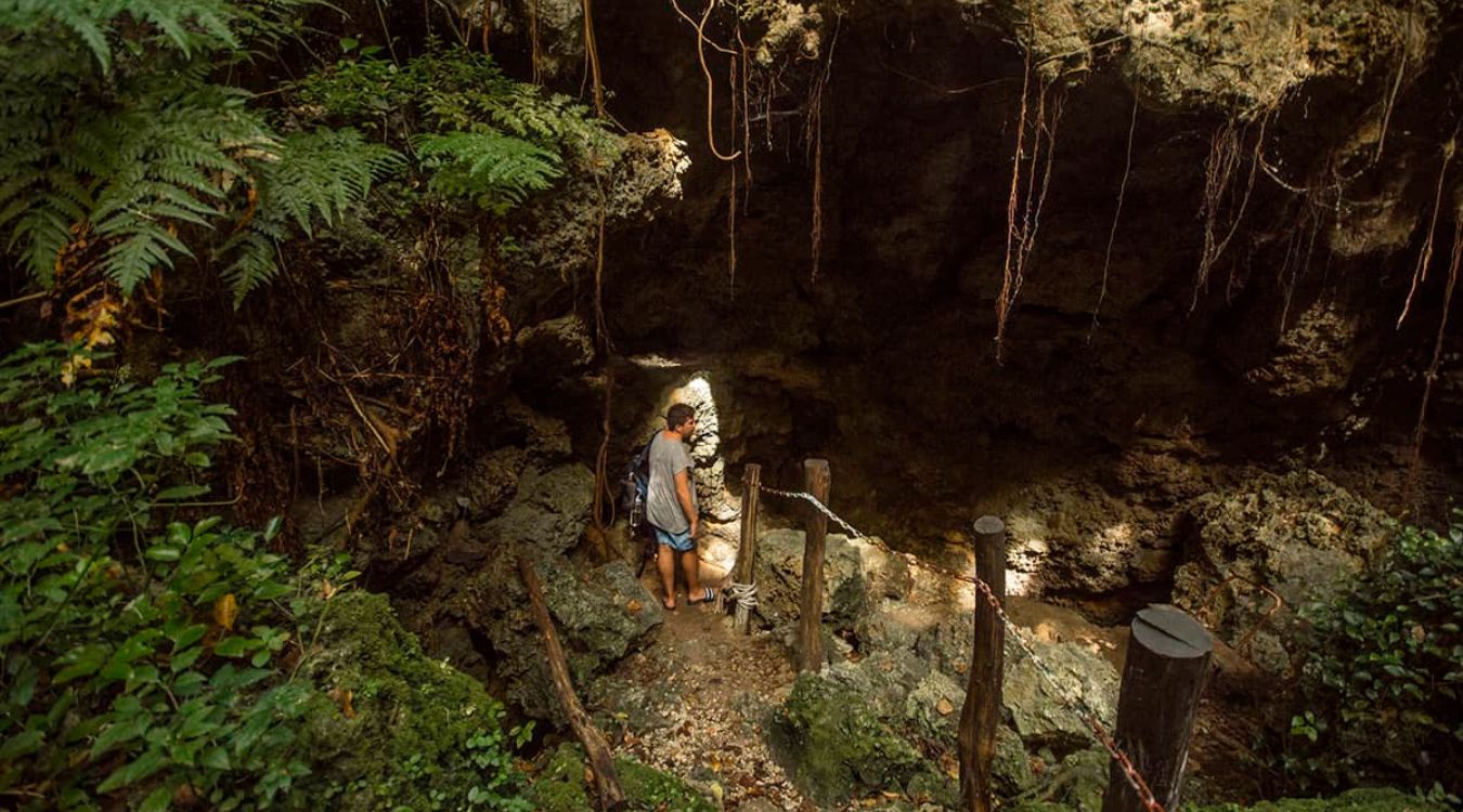 Secrets-Of-New-York8217s-Amber-Lit-Forest-Grottos secrets-of-new-yorks-amber-lit-forest-grottos