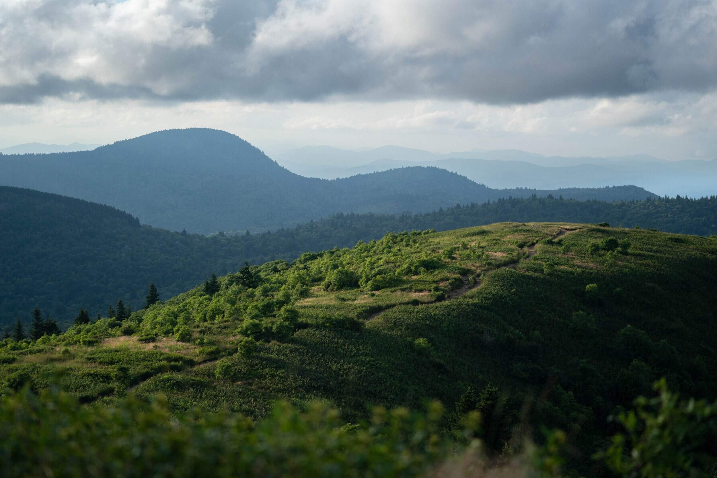 secrets-of-north-carolinas-black-mountain-balds