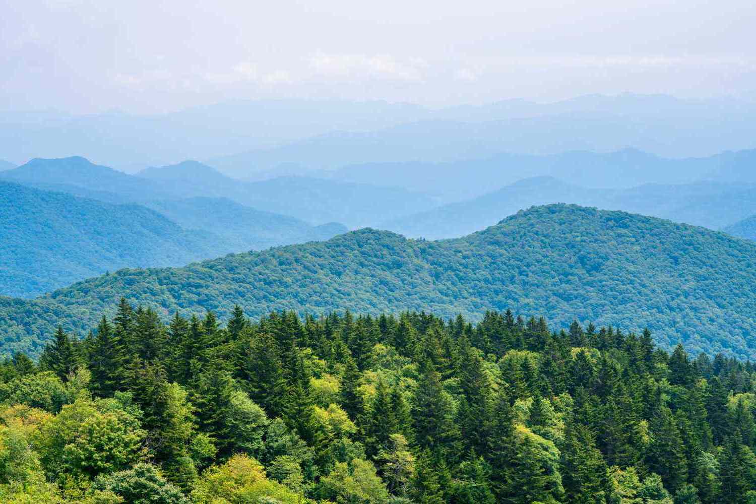 Secrets-Of-North-Carolina8217s-Blue-Ridge-Ridgelines secrets-of-north-carolinas-blue-ridge-ridgelines