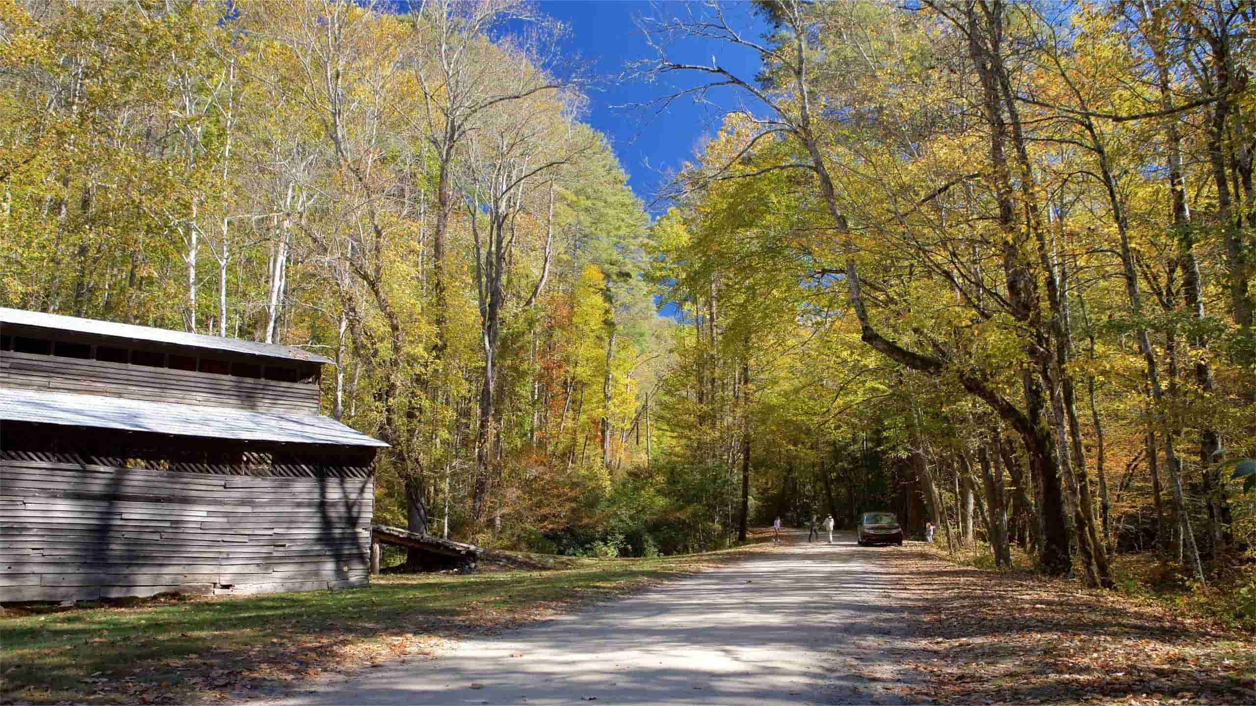 secrets-of-north-carolinas-cataloochee-homesteads