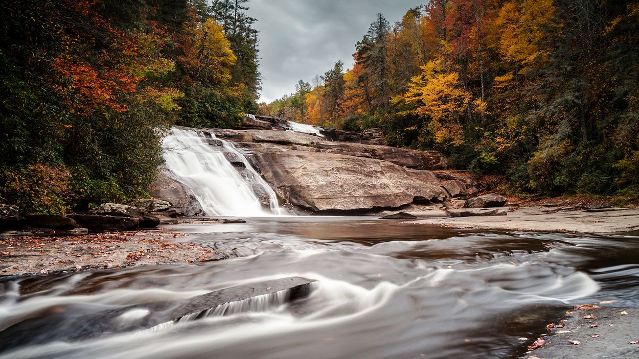 Secrets-Of-North-Carolina8217s-DuPont-Forest-Streams secrets-of-north-carolinas-dupont-forest-streams