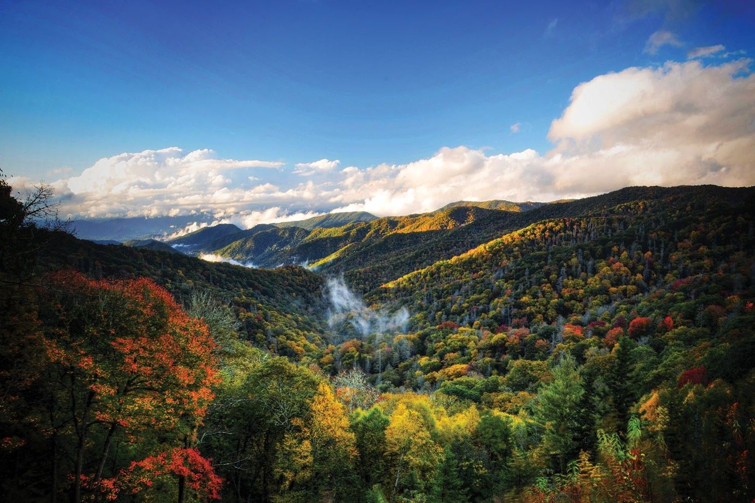 Secrets-Of-North-Carolina8217s-Great-Smoky-Mountains-Canopies secrets-of-north-carolinas-great-smoky-mountains-canopies